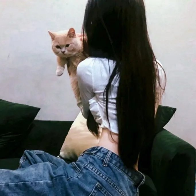 福斯特医生第一季