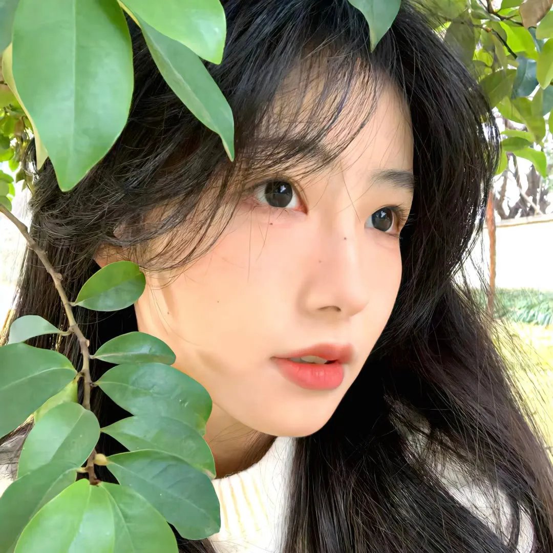 我的女神第一季
